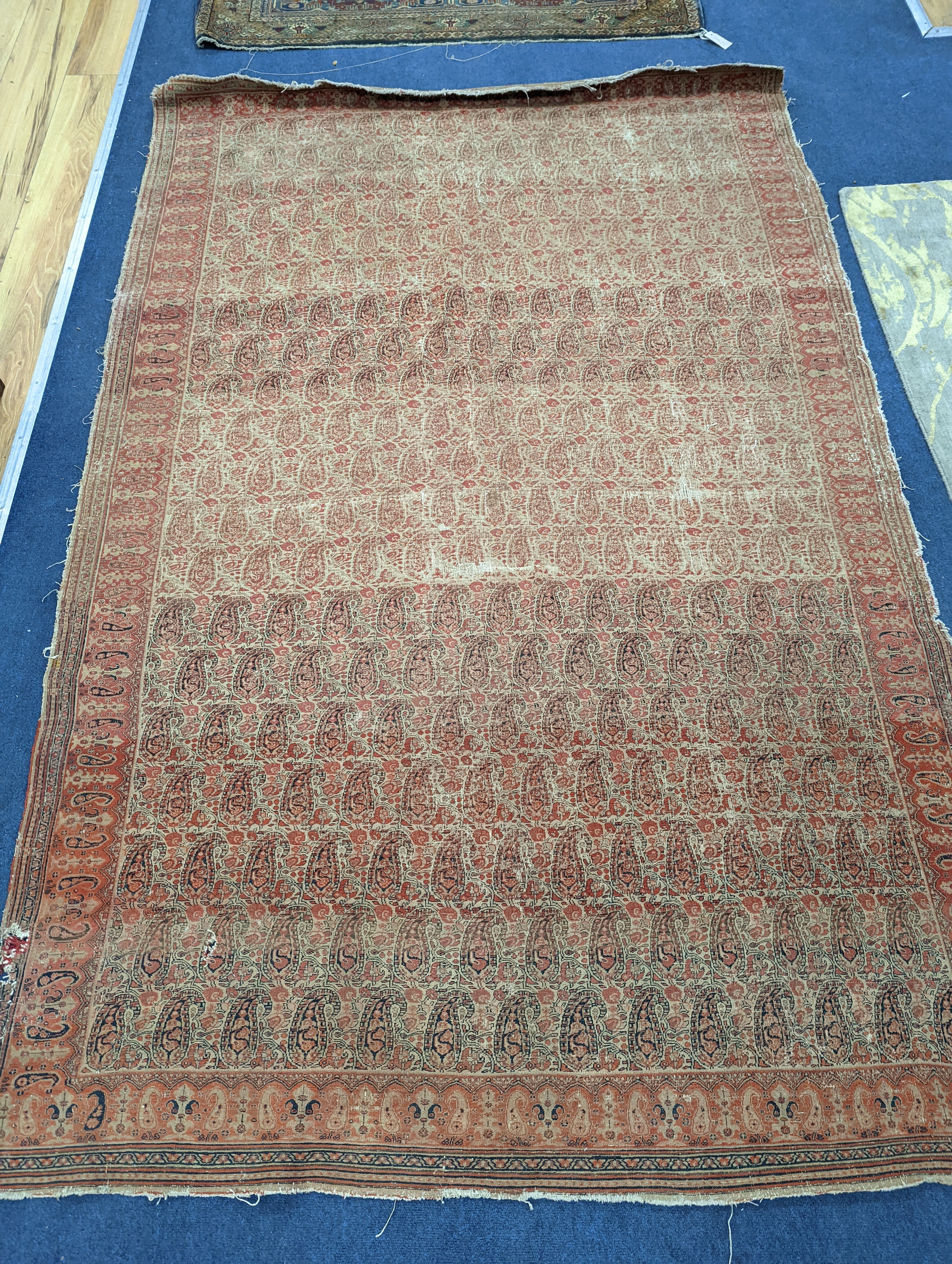 Three antique rugs, Caucasian and North West Persian, largest 230 x 154cm